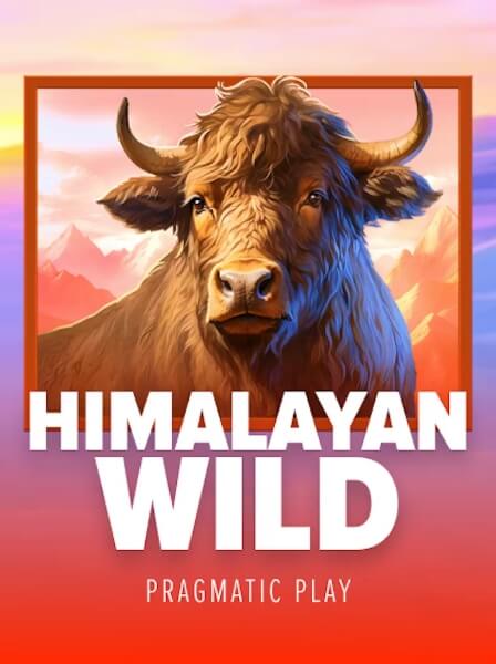 Khuyến Mãi Casino: Kinh Nghiệm Để Nhận Nhiều Thưởng Hơn